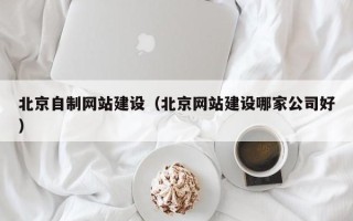 永新北京自制网站建设（北京网站建设哪家公司好）